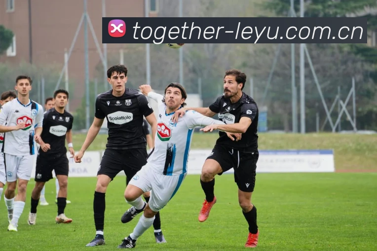 乐鱼体育APP 封面图